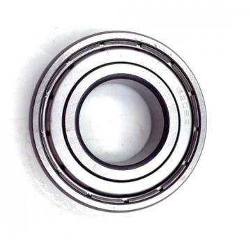 Double Row SKF 22318e Spherical Roller Bearing with Good Price