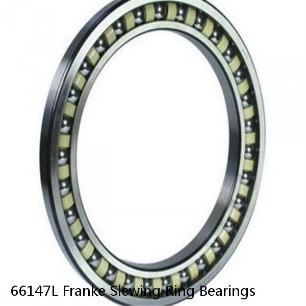 66147L Franke Slewing Ring Bearings #1 small image
