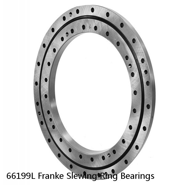 66199L Franke Slewing Ring Bearings #1 small image