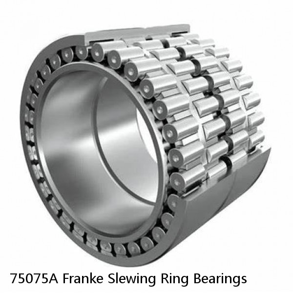 75075A Franke Slewing Ring Bearings #1 small image