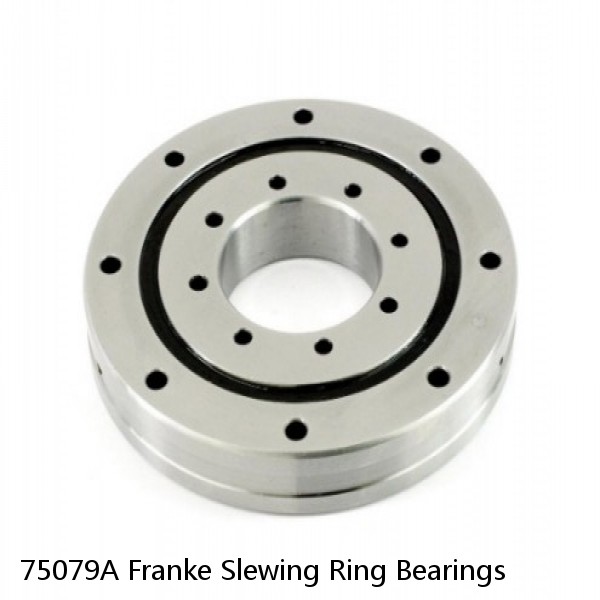 75079A Franke Slewing Ring Bearings #1 small image