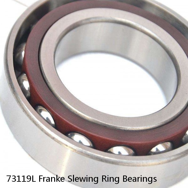 73119L Franke Slewing Ring Bearings #1 small image