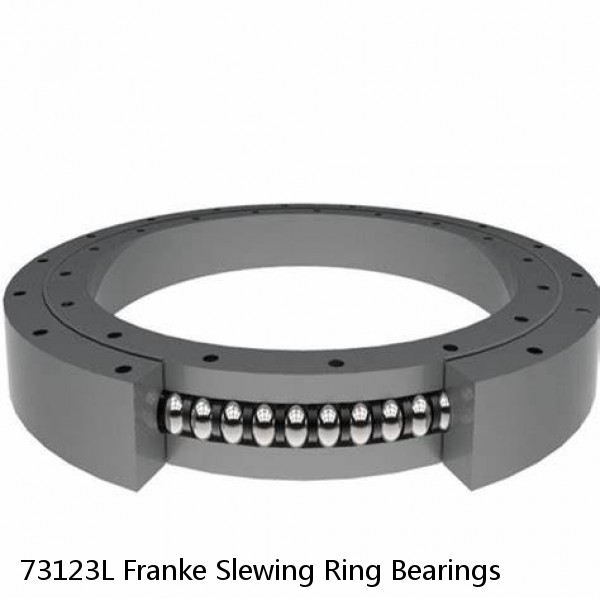 73123L Franke Slewing Ring Bearings #1 small image
