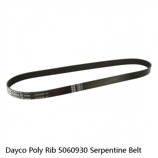 Dayco Poly Rib 5060930 Serpentine Belt #1 small image