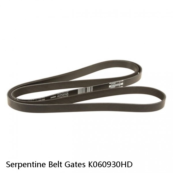 Serpentine Belt Gates K060930HD #1 small image