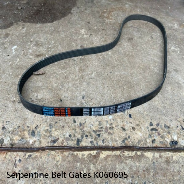 Serpentine Belt Gates K060695 #1 small image