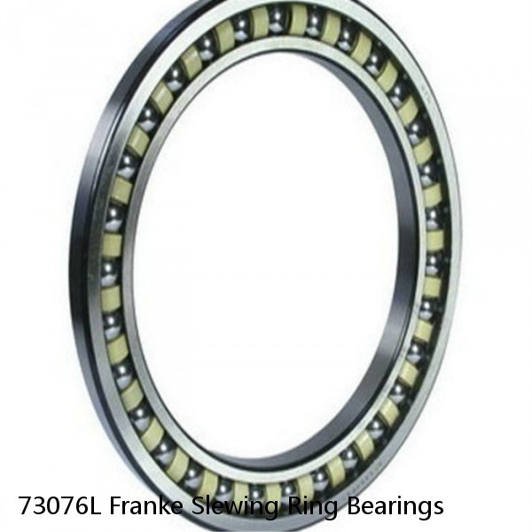 73076L Franke Slewing Ring Bearings #1 image