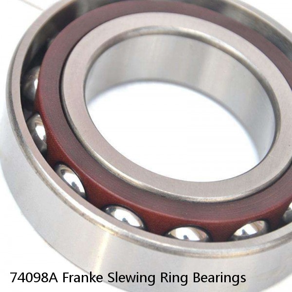 74098A Franke Slewing Ring Bearings #1 image