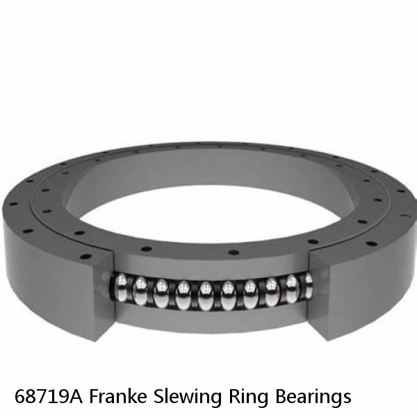 68719A Franke Slewing Ring Bearings #1 image