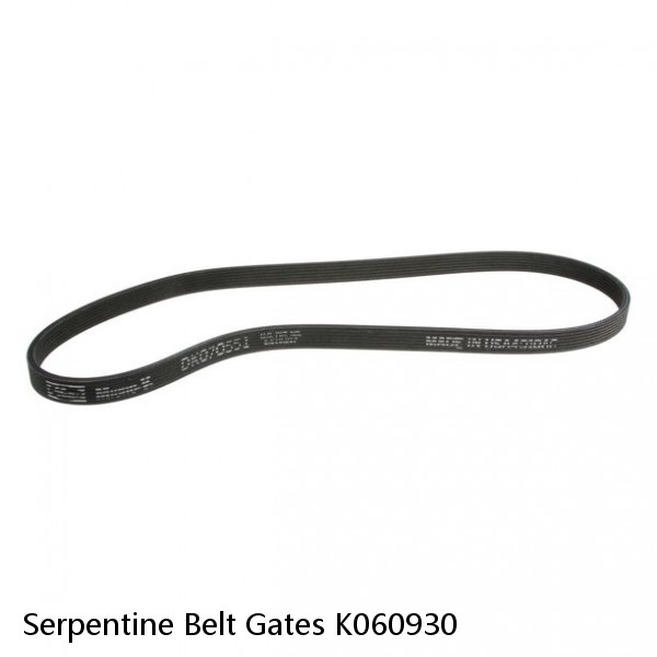 Serpentine Belt Gates K060930 #1 image