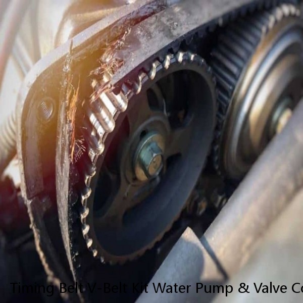 Timing Belt V-Belt Kit Water Pump & Valve Cover Gaskets Fits Hyundai Kia 3.5L V6 #1 image